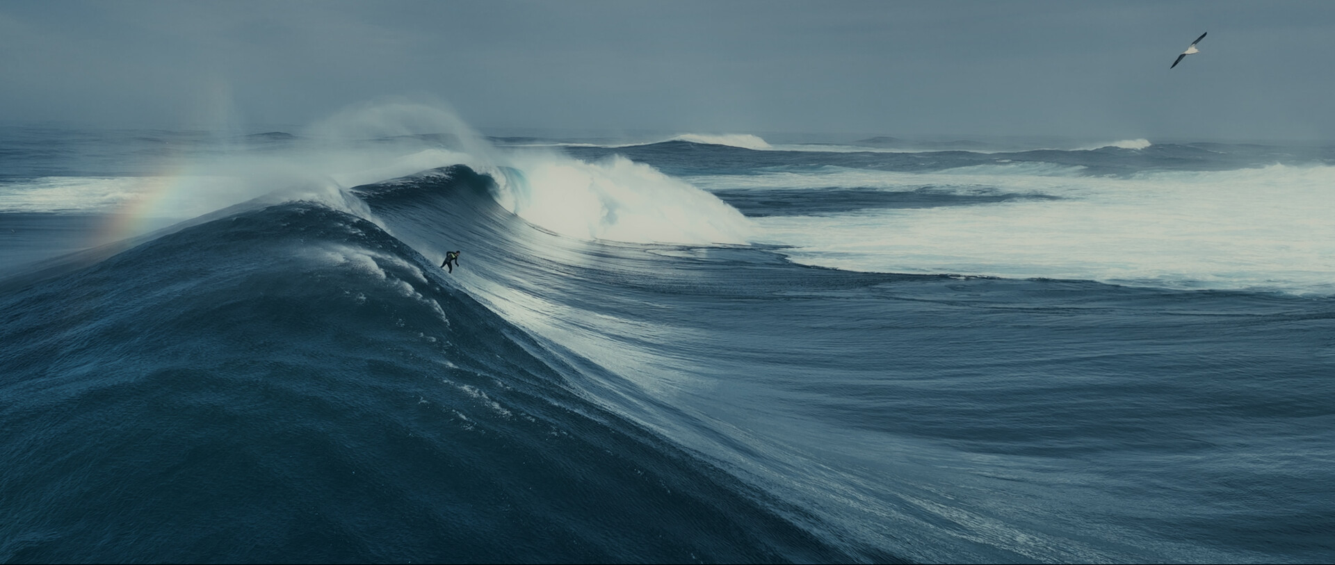 side view of a big wave with a tiny figure surfing