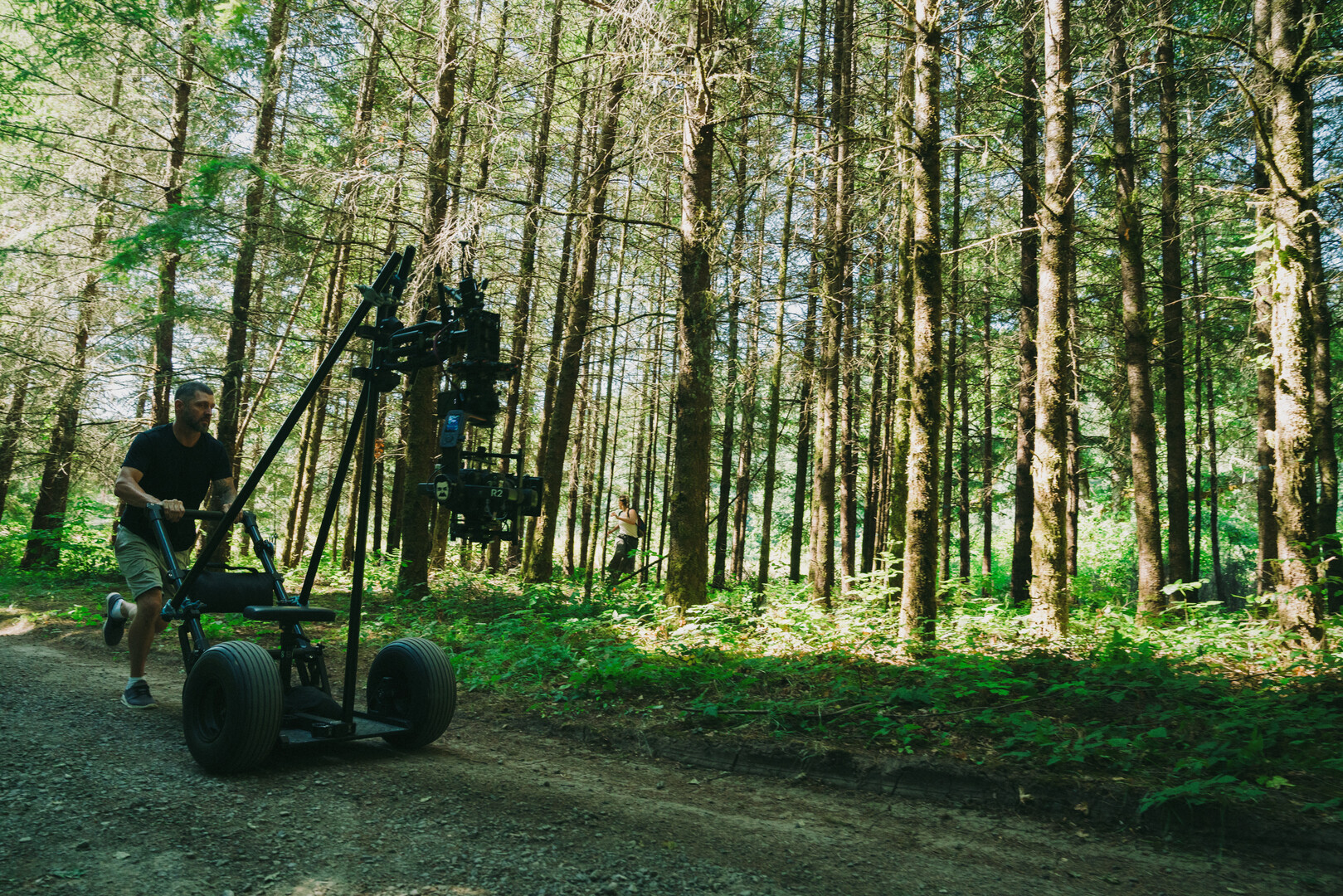 A camera dolly in the woods