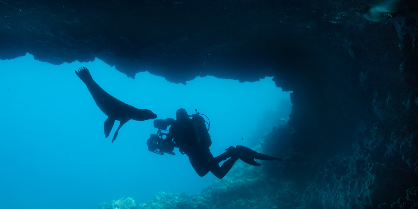 Into the Galápagos: Filming Disneynature’s ‘Sea Lions of the Galápagos’