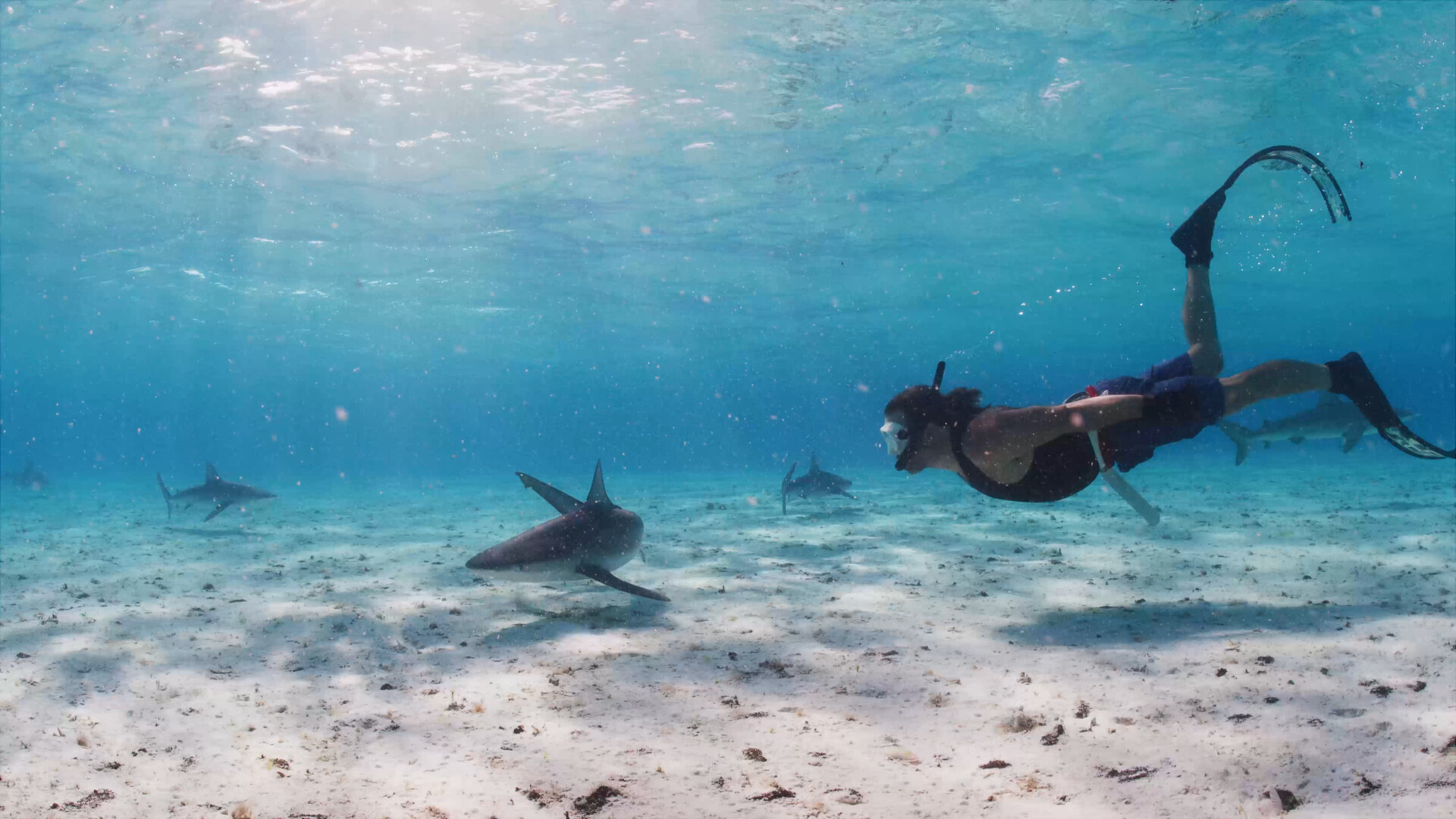 Jenni Collier diving