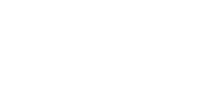 Nikon | RED | ZR logo
